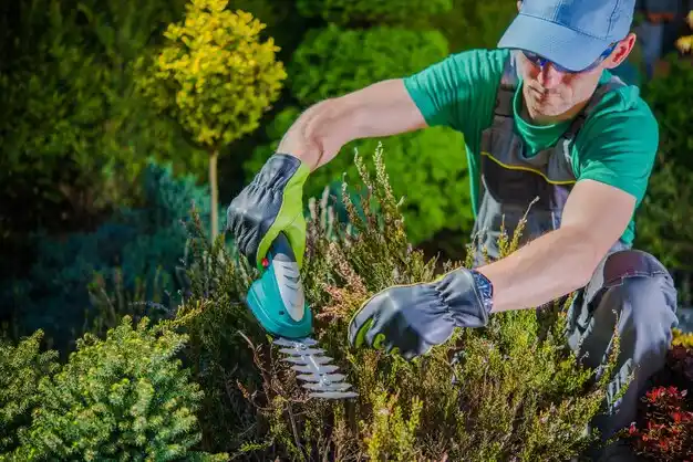 landscaping services Middle Point